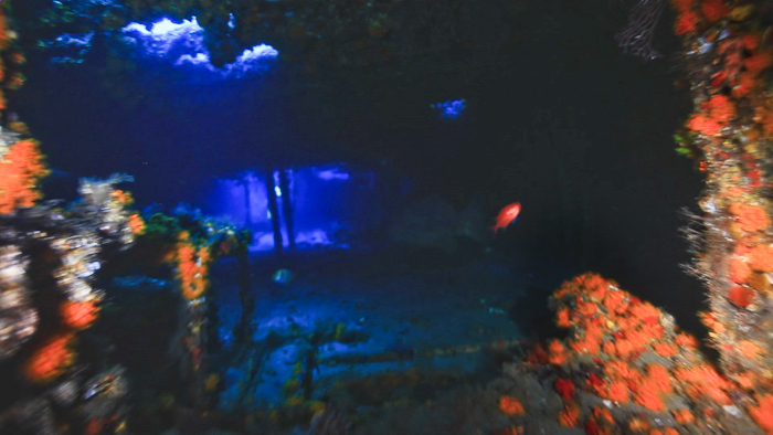 Great Dive Classes to enjoy Palm Beach Diving